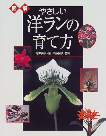 やさしい洋ランの育て方: 図解 | 尾亦 房子 |本 | 通販 | Amazon