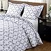 downluxe Printed Queen Comforter Set - Grey Queen/Full Comforter, Soft Bedding Sets for All Seasons -3 Pieces - 1 Comforter (88