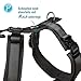 Petlando Hundegeschirr gepolstert, Mesh Y-Comfort, weich, stufenlos verstellbar, besonders leicht & atmungsaktiv, fellschonend, ergonomisch, Brustgeschirr für mittelgroße Hunde, Schwarz, M
