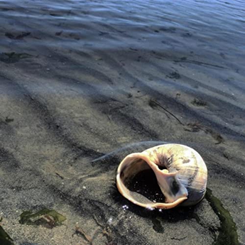 Cuticle Oil [Explicit]