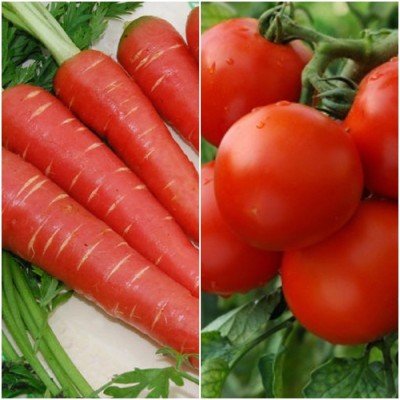 Biocarve Winter Vegetable Kit 2-2 Pkts (Carrot Red Long 100 Seeds & Tomato Round S-22 100 Seeds) (B01F1OX1DM) Amazon Price History, Amazon Price Tracker