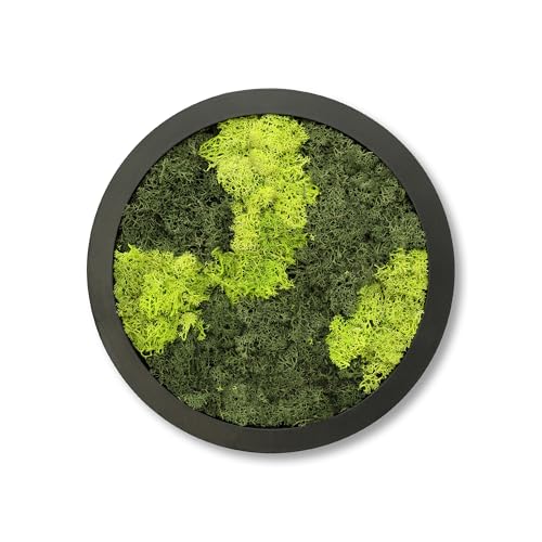 Comforder Quadro Muschio Stabilizzato Rotondo (ø 27 cm) Con Cornice in Legno - Decorazione da Parete per Soggiorno