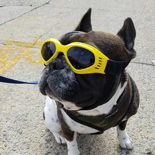 BSITSSS Hundebrille für Kleine Hunde, Hunde Sonnenbrille UV Schutzbrille, Augenschutz, Winddicht Hundesonnenbrille mit Verstellbaren zum Autofahren/Outdoor-Aktivitäten, Gelb