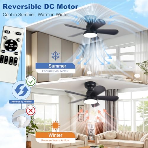 Image of Depuley Black Ceiling Fan with Lights: 28-Inch Flush Mount Fan with Light and Remote - Low Profile Ceiling Fans Reversible Quiet DC Motor for Bedroom Living Room Indoor Outdoor