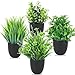 RUIBIXING 4 Stück Kunstpflanze mit Topf, Künstliche Plastik Pflanze Deko, Klein Fake Plant Topfpflanze Emulation Pflanze Künstlich für Schreibtisch, Haus, Balkon und Bad Dekoration