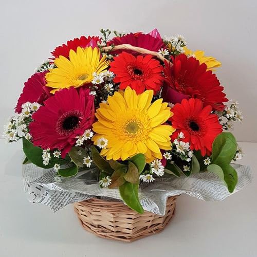 A fresh basket of 12 colorful Gerberas adorned with greens to light up any room or heart. Ideal For Anniversary, Birthday, Wedding, Congratulations Gift, Mother's Day Gift (Same Day Delivery)-image-33
