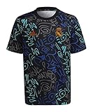 Clubes de Fútbol: Real Madrid