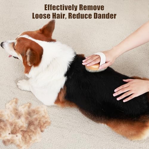 Soft-Boar-Bristle-Pet-Palm-Brush-for-Short-Haired-Dogs-and-Cats-with-Band-Reduce-Shedding-Ergonomic-Dog-Brush-Easy-to-Hold-and-Reduces-Stress-On-Your-Wrist-Ideal-for-Daily-Grooming Soft Boar Bristle Pet Palm Brush for Short Haired Dogs and Cats with Band Reduce Shedding Ergonomic Dog Brush Easy to Hold and Reduces Stress On Your Wrist Ideal for Daily Grooming