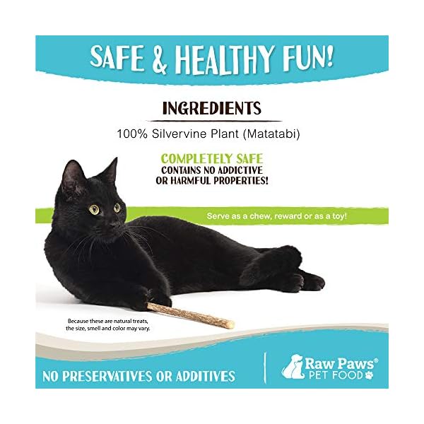 Raw paws silvervine for cats (30-ct) - silvervine cat toys for indoor cats - catnip sticks - matatabi cat chew stick - silvervine sticks for cats, silver vine sticks cat kicker toy, cat toy silvervine - image 5