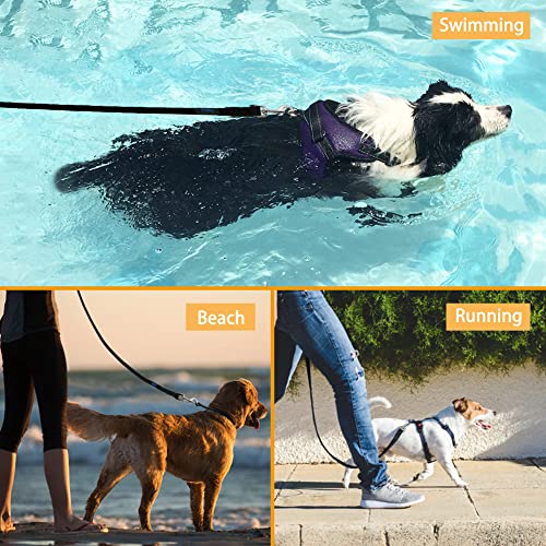 Schleppleine 10 m für Hunde von Vivifying, wasserdicht und robust