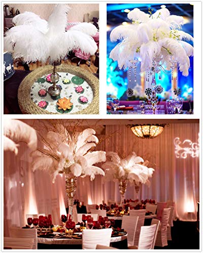 Awaytr 20-22 Inch (50-55Cm) Natural Large Long Ostrich Feathers For Wedding Party Centerpieces,Flower Arrangement And Home Decoration (10Pcs,White-Thick Stem Sticks) #TOP3