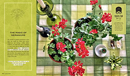 Ted Kennedy Watson’s Guide To Stylish Entertaining #TOP6