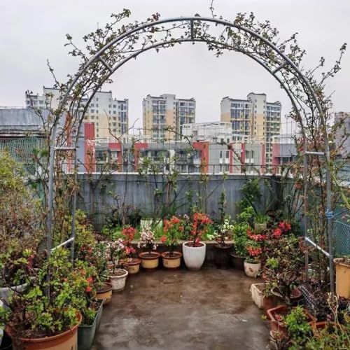 Pergola en acier et arche de jardin extérieure pour plante grimpante - 6