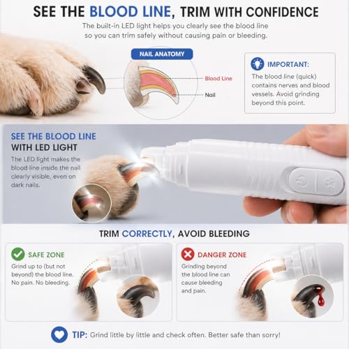 Image of Pet Nail Grinder with LED Light for Blood Line Detection, USB Rechargeable, Safe Paw Care Tool for Dogs and Cats (Nail Grinder)