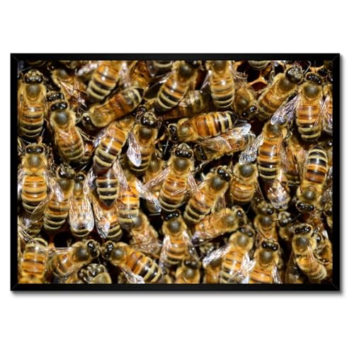 Abeilles au travail poster avec cadre blanc déco murale salon