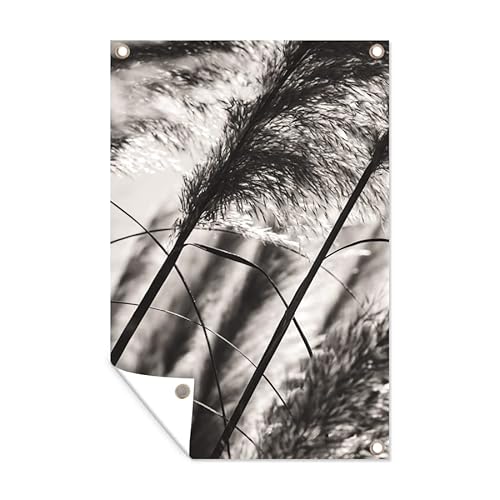 MuchoWow Poster exterieur Herbe de la pampa - Noir - Blanc - Plante Decoration murale 40x60 cm Résistant aux intempéries/soleil