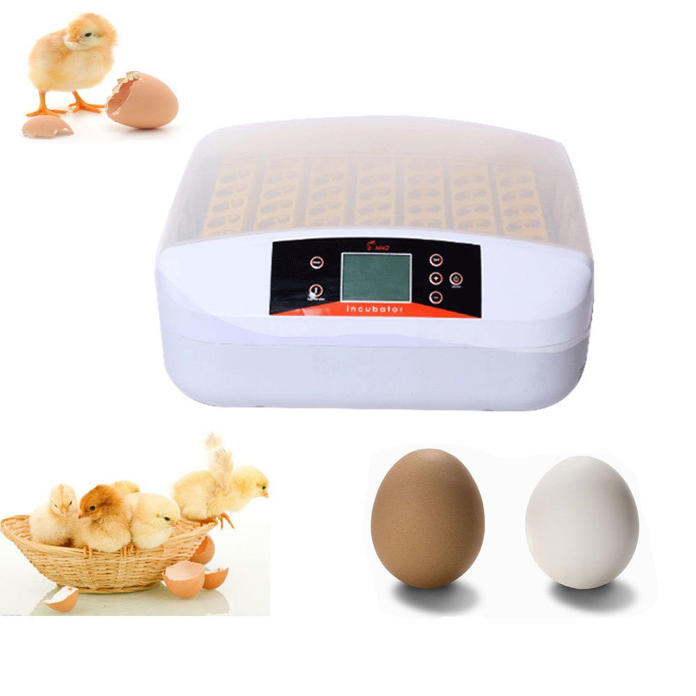 Amazon.co.jp: 【syarin優品】自動照卵！！ 56枚 鳥類専用孵卵器 孵卵 