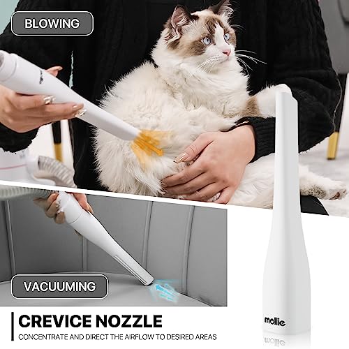Mollie Dog Grooming Vacuum & Hair Blower & Electric Clippers, 3-In-1 Pet Grooming Kit With 4L Dust Box, 6 Grooming Tools For Large Dog Cat Or Other Animals, Black #TOP5