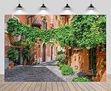 CHNYWORK 8x8ft Italian Old Town Alley Photography Backdrop Mediterranean Cobblestone Street with Green Ivy and Terracotta Buildings Background European Travel Party Decor Photoshoot Studio Props