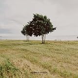 Portrait (Original Mix)