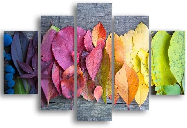 Homemania HM205MDF294 5-Piece Picture Le Monde de la Couleur - Nature - Living Room - Multi-Coloured MDF - 95 x 0.3 x 60 cm
