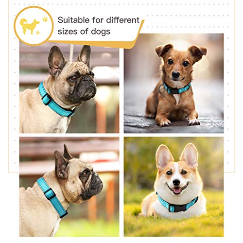 Image of HEELE Dog Collar, Reflective Dog Collar, Soft Neoprene Padded Breathable Nylon Pet Collar Adjustable for Large Dogs, Sky Blue, L(15.74-25.98 inch)