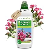 Purgrün