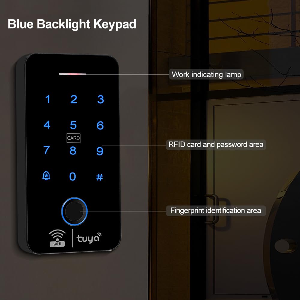 WiFi Tuya système de contrôle d'accès comprend un clavier d'empreintes digitales étanche IP68, serrure de porte électrique en métal mode NC, 10 porte-clés RFID de 125 KHz, source de
