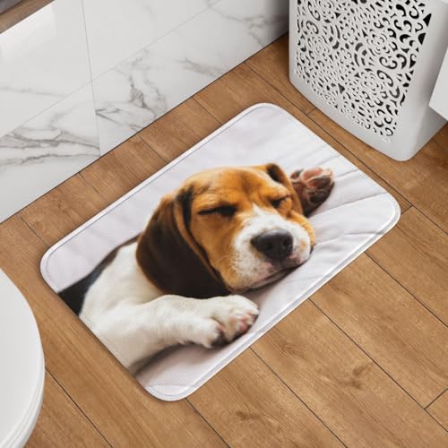 փ}bg Ăr[O Ck ʕ hA}bg  O oX}bg  DƂ 􂦂 ~ @}bg  䏊 Q Ɩp lGʗp 60cm×40cm