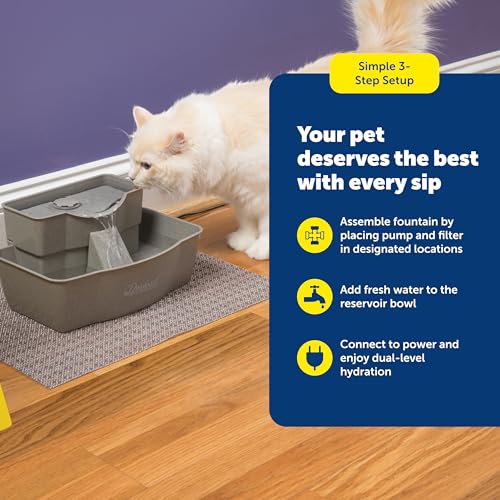 PetSafe Multi-Tier Pet Fountain 100oz – Accessible Two-Height Waterer for Senior Pets — view 6
