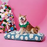 LE SURE Cute Large Dog Bed for Crate-Thick Shredded Chopped Foam Pet Bed Indoor with Removable Washable Cover, Modern Fuzzy Plush & Anti Slip Bottom, Blue