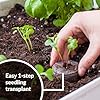 500 Count- Jiffy 36 MM Peat Soil Pellets Seeds Starting Plugs: Indoor Seed Starter- Start Planting Indoors for Transplanting to Garden or Planter Pot #1
