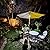 OYOCO Patio Umbrella Light 3 Brightness Modes Cordless 28 LED Lights-4 x AA Battery Operated,Umbrella Pole Light for Patio Umbrellas,Camping Tents or Indoor Use