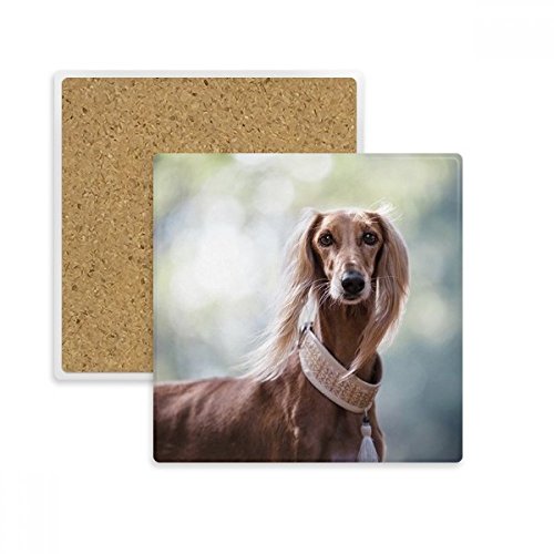 Dessous de verre en pierre absorbante imprimé chien multicolore par DIYthinker