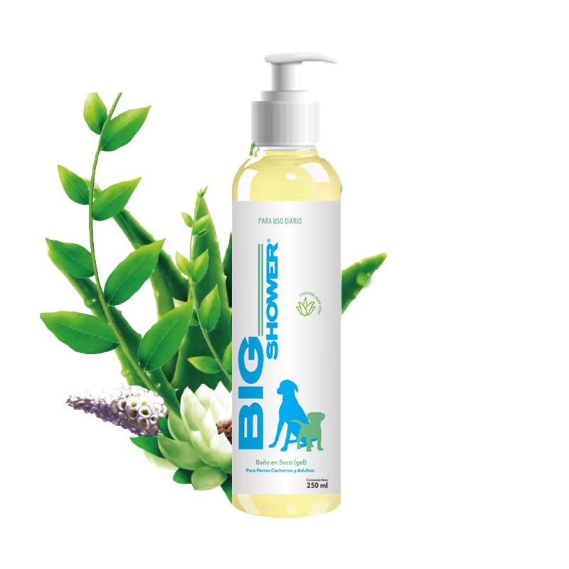 Los 10 Mejores Modelos De Shampoo En Seco Para Perros