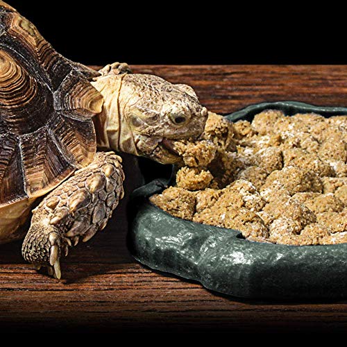 SLSON Reptile Feeder Terraium Bowl Plastic Shallow Reptile Feeder for Food and Water Feeding Dish for Lizard Gecko… - Image 8