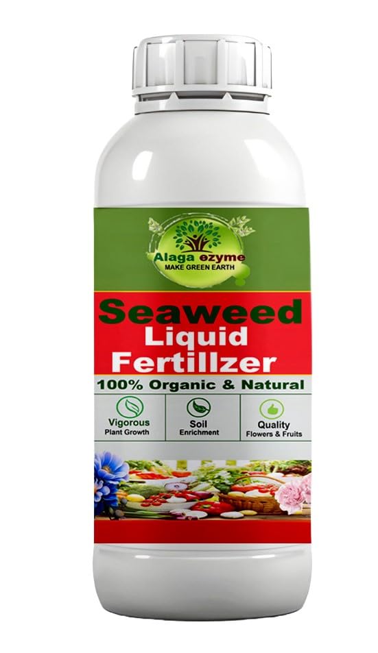 Alagaezyme Liquid Seaweed Concentrate for Plants with Measuring Cup 25 ml Fertilizer for All Indoor and Outdoor Plants (2000 ML) (B0CSX5TF25) Amazon Price History, Amazon Price Tracker