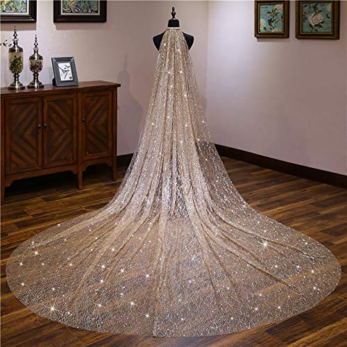 JFSKD Voile de Mariage,Voile de Luxe de Paillettes mousseuses de Champagne cathédrale,Voile de mariée Coiffure Romantique,Voile de mariée traînant en Tulle Souple,3 * 1.5m Cover