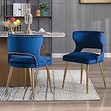 CIMOO Blue Velvet Dining Chairs with Gold Legs Upholstered Dining Room Chairs Set of 2 Mid Century Modern Accent Chairs with Back Nailhead Trim Armless Side Chairs for Kitchen