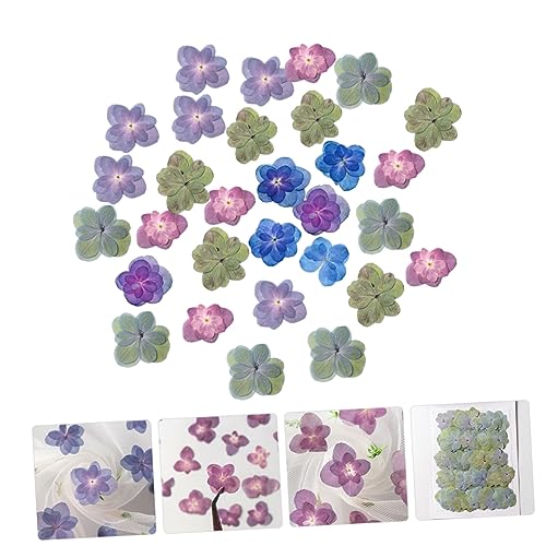 Happyyami 30pcs Flores Secas DIY para Manualidades miniatura 4