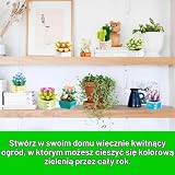ALEENFOON Zestaw 9 klocków do budowy kwiatów i sukulent, zabawki do budowania roślin, do dekoracji biura i domu, prezenty dla dorosłych i dzieci 6+ (832 sztuki)