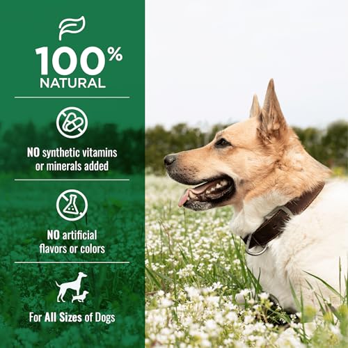 Image of NATURE'S LOGIC Beef Trachea Dog Chew Treat - 100% USDA Prime Beef, 1 lb