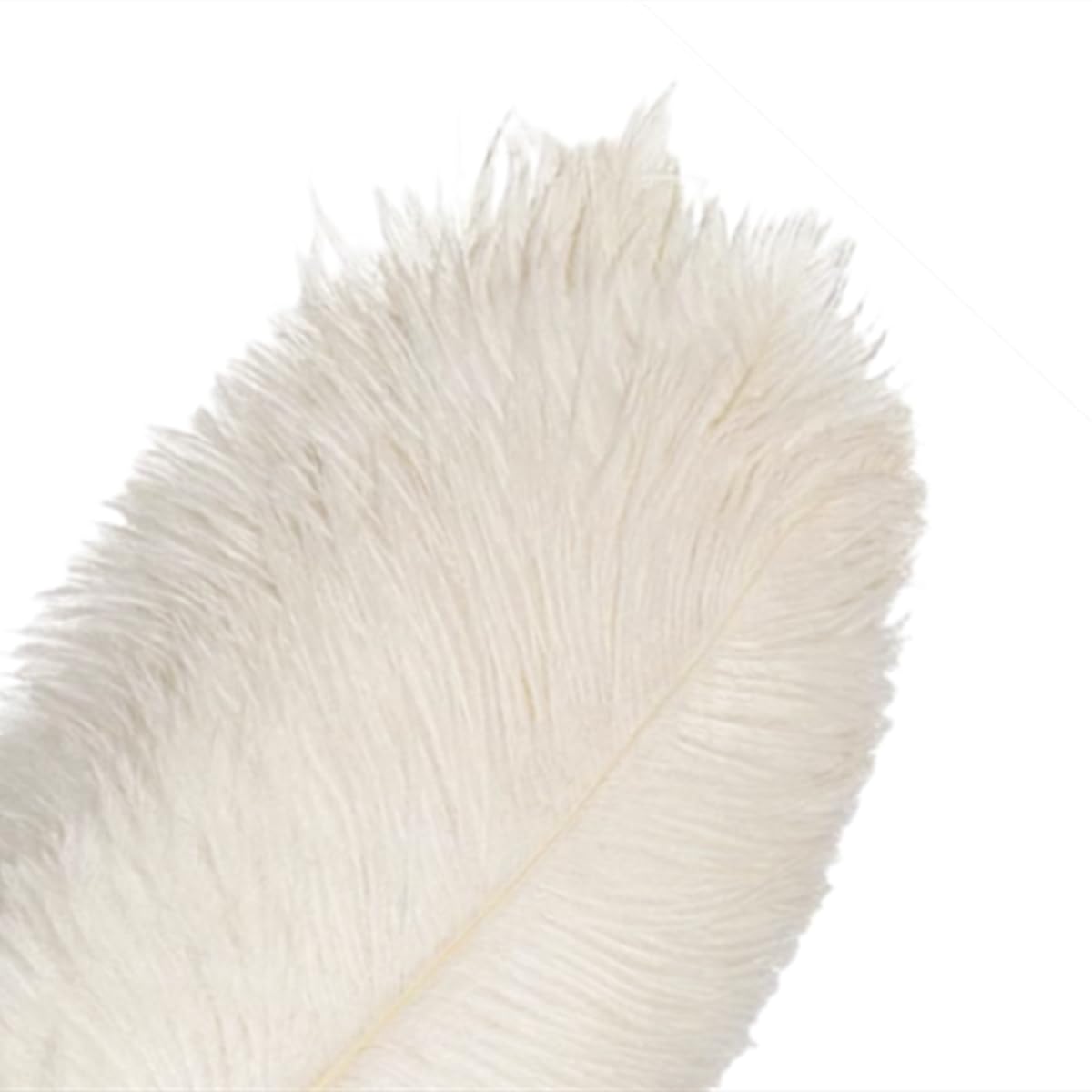 10Pcs Bulk Natural White Ostrich Feathers,10-12 inch (25-30cm) Beautiful Long Feather for Crafts,Wedding Centerpieces Party Home Decoration,Dress and