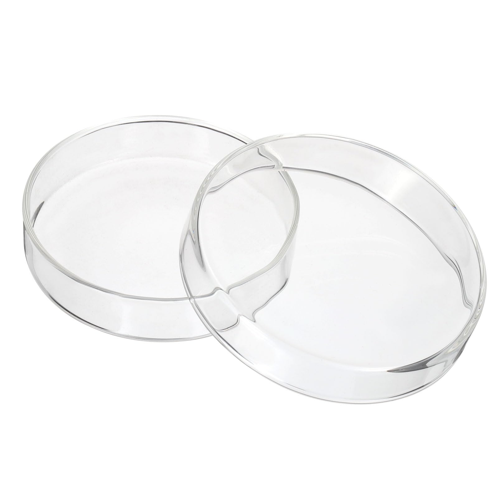 Glass Petri Dishes - Lab Science & Experiments -7