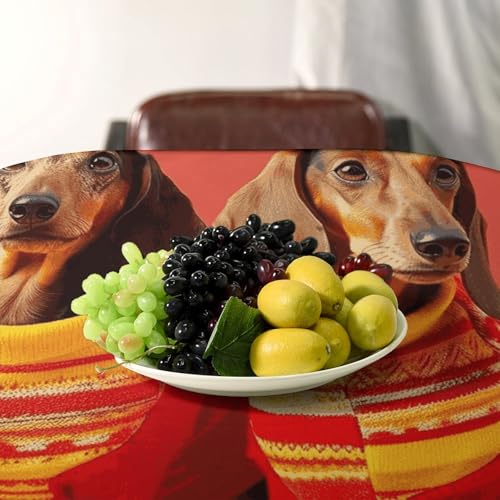 Nappe rectangulaire teckel lavable pour une protection de cuisine durable