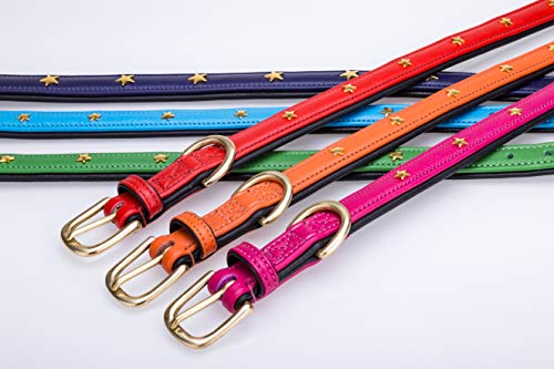 Collier pour chien en cuir rose contre les irritations de cou - 4
