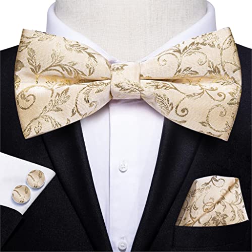 Set de moño, gemelos y pañuelo para hombre beige