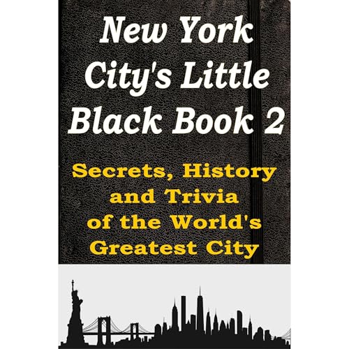 New York City's Little Black Book 2 Audiobook By Bob Mayer cover art