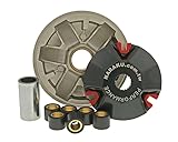 Naraku-Variator Naraku Sport-Variator für verschiedene Gilera- und Piaggio-Roller, die vor 1998 gebaut wurden