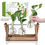 Planter Terrariums